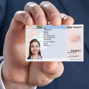 Синяя карта ЕС (Blue Card EU). Кому и как можно получить.
